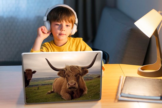 Sticker pour ordinateur portable - 10,1 pouces - Scottish Highlander - Animaux - Berg