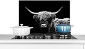 Spatscherm keuken - Muurbeschermer - Zwart - Wit - Schotse hooglander - Hoorn - Dieren - Koe - Koeien - Achterwand keuken - Spatwand - 70x50 cm