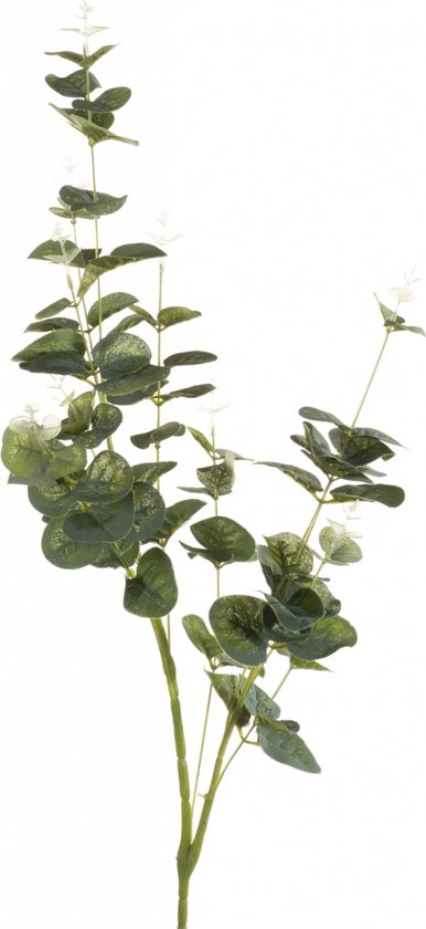 Kunstblad Eucalyptus - Polyester - Groen - 0 x 75 x 0 cm (BxHxD)