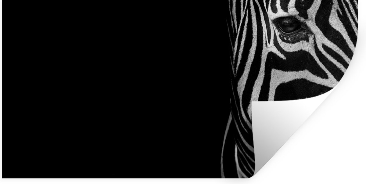 Muurstickers - Sticker Folie - Dieren - Zebra - Zwart - Wit - 40x20 cm - Plakfolie - Muurs