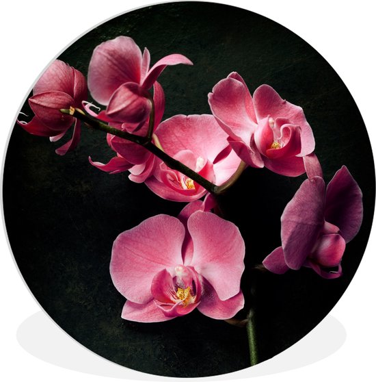 WallCircle - Wall Circle - Wall Circle Indoor - Plantes - Orchidée - Fleurs - Rose - 140x140 cm - Décoration murale - Peintures Ronds