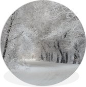 WallCircle - Wandcirkel ⌀ 90 - Bomen - Sneeuw - Winter - Ronde schilderijen woonkamer - Wandbord rond - Muurdecoratie cirkel - Kamer decoratie binnen - Wanddecoratie muurcirkel - Woonaccessoires