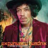 Experience Hendrix: The Best Of Jimi Hendrix (LP)