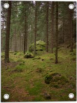 WallClassics - Poster de Jardin - Tas de Champignons Bruns sur Mousse -  30x90 cm Photo