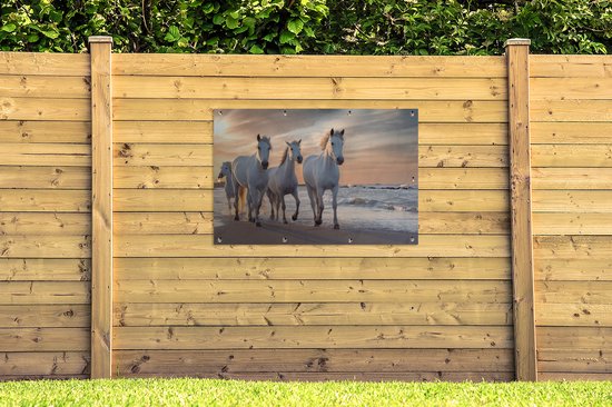 Affiche de jardin Paarden - Soleil - Plage - Mer - 120x80 cm - Jardin