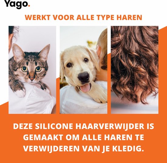 Het magische herfstfeest | Educatief verhaal | 7/8 jaar | Verhalen over