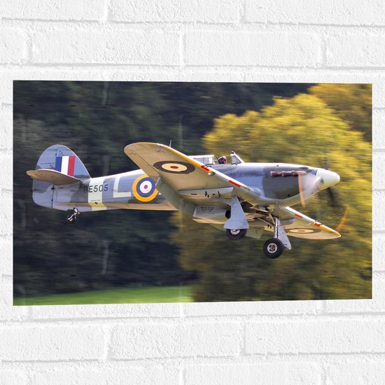 WallClassics - Muursticker - Klein Grijs Frans Stuntvliegtuig bij Bomen - 60x40 cm Foto op Muursticker