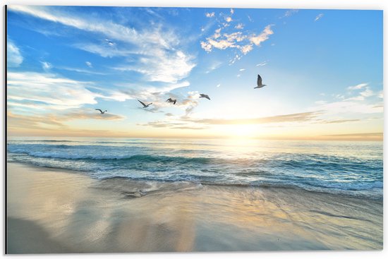 WallClassics - Dibond - Meeuwen boven het Strand en Zee - 60x40 cm Foto op Aluminium (Wanddecoratie van metaal)