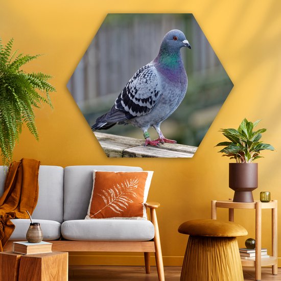 Hexagon wanddecoratie - Kunststof Wanddecoratie - Hexagon Schilderij - Duif - Vogel - Paars - Veren - 120x103 cm