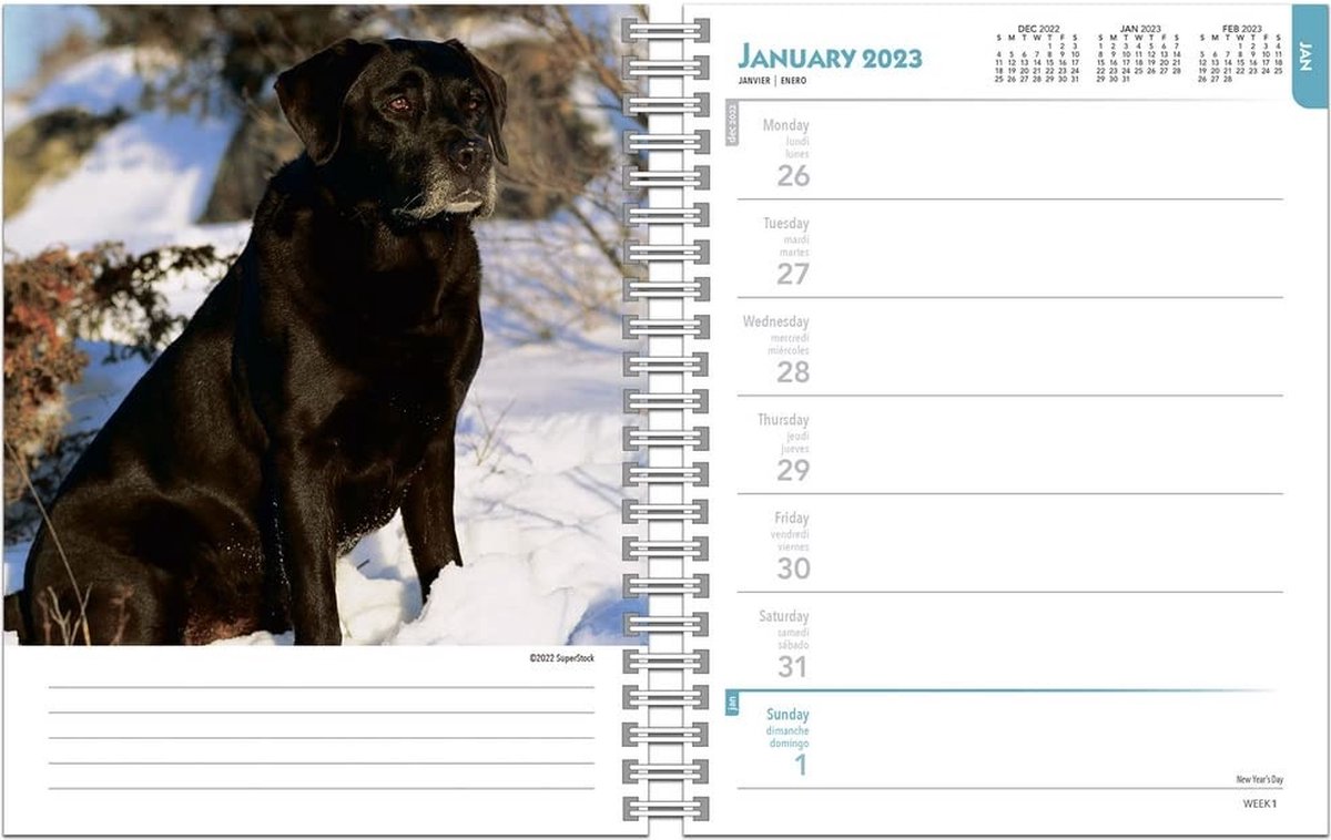 Labrador Retriever Agenda 2023