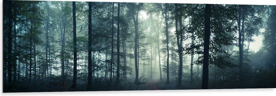 WallClassics - Dibond - Mist in een Donker Bos - 150x50 cm Foto op Aluminium (Met Ophangsysteem)