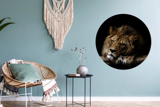 Papier peint Circle - Lion - Arbre - Marron - 100x100 cm XXL