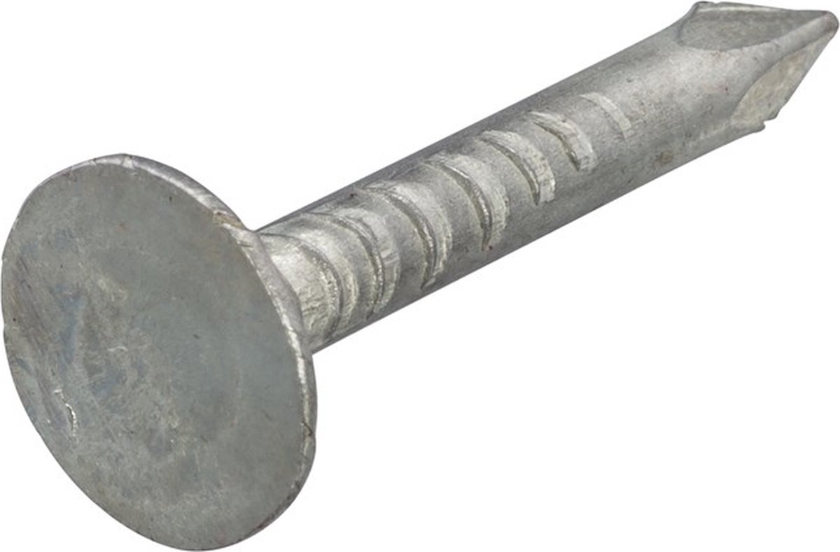 Proftec asfaltnagels 3.0x20mm - verzinkt staal - platkop - DIN 1160 (Per 1 kg)