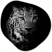 Décoration murale Bio - Décoration murale Plastique - Tableau Bio - Animaux - Zwart - Wit - Panthère - Portrait - 40x40 cm - Forme miroir asymétrique sur plastique