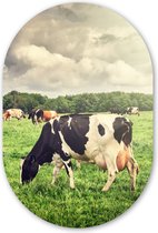 Ovale Mural - Décoration murale Plastique - Tableau Ovale - Vaches - Pâturage - Nature - Animaux - Paysage - 40x60 cm - Miroir ovale sur plastique