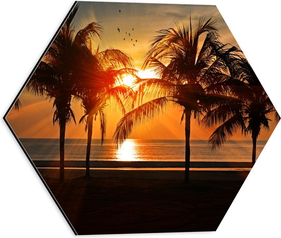 WallClassics - Dibond Hexagon - Palmbomen op het Strand bij Zonsondergang - 40x34.8 cm Foto op Hexagon (Met Ophangsysteem)