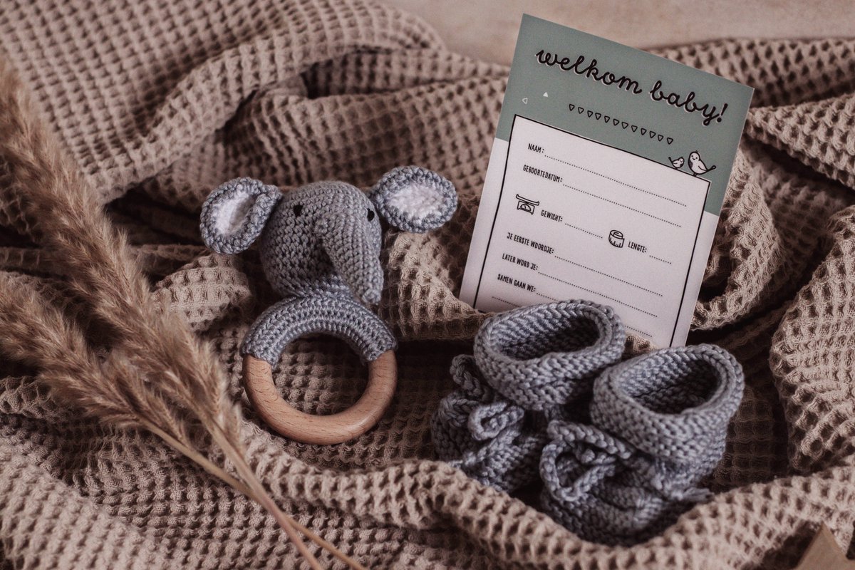 Baby Rammelaar Olifant met Zachte Schoentjes Geschenkset met Geboortekaart Baby - Kraamcadeau Unisex Jongen Meisje - Baby Cadeau - Geboorte Cadeau - Babyshower - Baby Geschenkset - Kraamcadeau - Kraampakket – foto 2