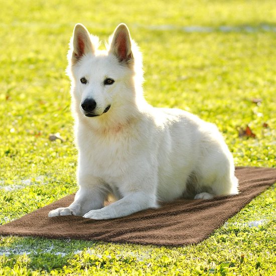 Nobleza - Koelmat voor honden, katten en huisdieren. Zelfkoelende niet- giftige gelmat. 110 * 70 cm, Blauw. XL