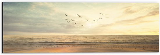 WallClassics - Dibond - Vogels vliegend over de Zee en het Strand - 60x20 cm Foto op Aluminium (Wanddecoratie van metaal)