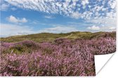 Wondermooi beeld van een roze bloeiende heide in de duinen bij de Waddenzee onder een tegen een diepblauwe hemel op het Nederlandse Waddeneiland Texel 90x60 cm / Zee en Strand - Foto print op Poster (wanddecoratie woonkamer / slaapkamer)