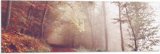 WallClassics - Vlag - Mistig Herfstbos - 90x30 cm Foto op Polyester Vlag