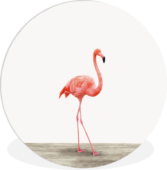 Wandcirkel dieren - Schilderij voor kinderen - Flamingo - Vogels - Dieren - Kinderkamer decoratie - Wanddecoratie meisjes - Jongens - 140x140 cm - Kunststof