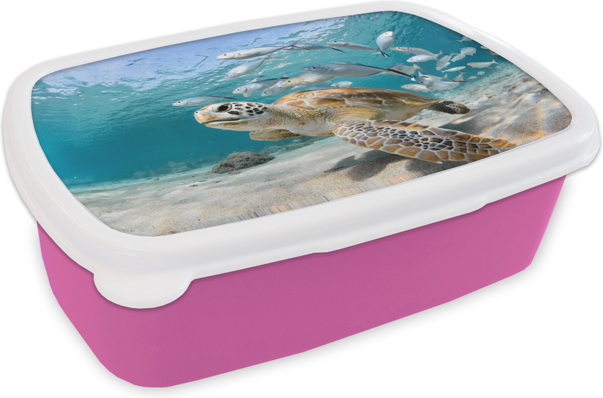 Broodtrommel Roze - Lunchbox - Brooddoos - Schildpad - Vis - Zee - 18x12x6 cm - Kinderen - Meisje