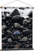 WallClassics - Affiche textile - Méduse entre pierres - 60x80 cm Photo sur Textile