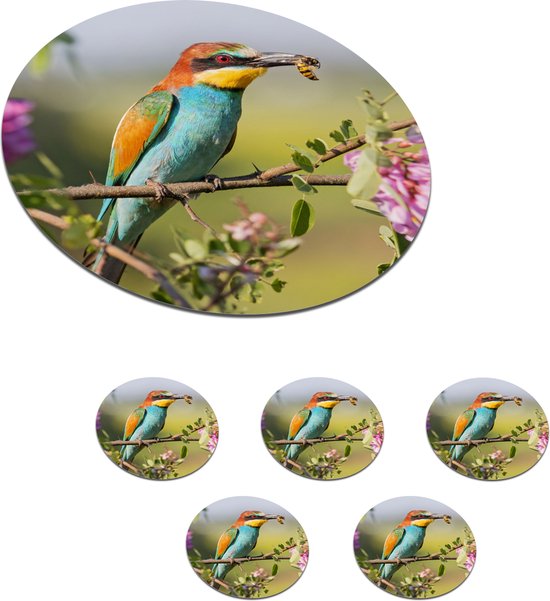 Foto: Onderzetters voor glazen rond vogel bijeneter bloemen 10x10 cm glasonderzetters 6 stuks