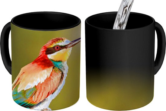 Foto: Magische mok foto op warmte mokken koffiemok vogels bijeneter regenboog dieren magic mok beker 350 ml theemok