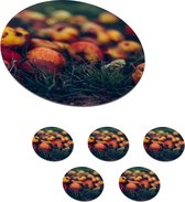 Onderzetters voor glazen - Rond - Landelijke decoratie - Herfst - Appel - Fruit - 10x10 cm - Glasonderzetters - 6 stuks