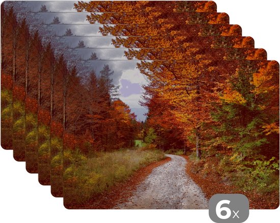 Foto: Placemat placemats kunststof herfst herfstbladeren pad bos 45x30 cm 6 stuks hittebestendig anti slip onderlegger afneembaar