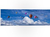 WallClassics - PVC Schuimplaat - Gropeje Luchtballonnen bij Witte Wolken - 60x20 cm Foto op PVC Schuimplaat (Met Ophangsysteem)
