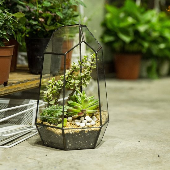 innovatie aanplakbiljet pad NCYP Handgemaakt 25cm geometrisch glazen terrarium voor succulente  luchtplanten... | bol.com