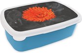 Broodtrommel Blauw - Lunchbox - Brooddoos - Bloemen - Oranje - Zwart - Wit - 18x12x6 cm - Kinderen - Jongen