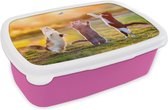 Broodtrommel Roze - Lunchbox - Brooddoos - Katten - Vlinder - Zonsondergang - Gras - Natuur - 18x12x6 cm - Kinderen - Meisje