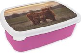 Broodtrommel Roze - Lunchbox - Brooddoos - Schotse hooglander - Dieren - Landschap - Zonsondergang - Koe - 18x12x6 cm - Kinderen - Meisje