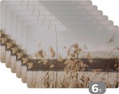 Placemat - Placemats kunststof - Water - Pampasgras - Planten - 45x30 cm - 6 stuks - Hittebestendig - Anti-Slip - Onderlegger - Afneembaar