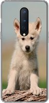 Geschikt voor OnePlus 8 hoesje - Wolf - Kind - Hout - Siliconen Telefoonhoesje