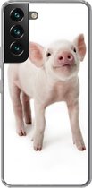 Telefoonhoesje Geschikt voor Samsung Galaxy S22 hoesje - Varken - Dieren - Wit - Siliconen Telefoonhoesje