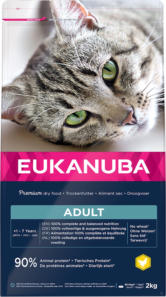 Eukanuba cat ad top condition 1+ 2kg
