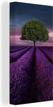 Tableau sur toile Lavande - Arbre - Violet - 20x40 cm - Décoration murale