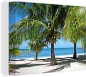 Canvas Schilderij Palmbomen en het parelwitte strand in Glover’s Reef - 80x60 cm - Wanddecoratie