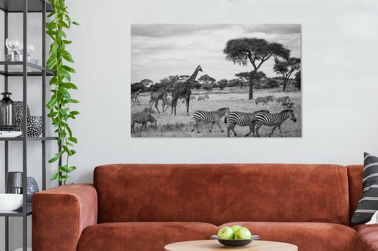Tableau sur toile Girafes et Zèbres ensemble dans les savanes du Parc National du Serengeti - noir et blanc - 120x80 cm - Décoration murale