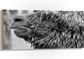 WallClassics - Hout - Natte Alpaca Zwart - Wit - 100x50 cm - 12 mm dik - Foto op Hout (Met Ophangsysteem)