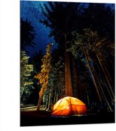 WallClassics - Dibond - Tentje onder de Bomen - 75x100 cm Foto op Aluminium (Met Ophangsysteem)