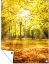 Décoration de Jardin Arbre - Nature - Soleil - Paysage - Forêt - 30x40 cm - Toile de jardin - Poster extérieur