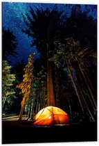 WallClassics - Dibond - Tentje onder de Bomen - 60x90 cm Foto op Aluminium (Met Ophangsysteem)