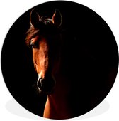 WallCircle - Wandcirkel ⌀ 90 - Paard - Licht - Portret - Ronde schilderijen woonkamer - Wandbord rond - Muurdecoratie cirkel - Kamer decoratie binnen - Wanddecoratie muurcirkel - Woonaccessoires