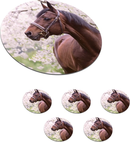 Set van 6 ronde onderzetters voor bloempot, bloempothouder voor binnen en buiten, voor binnen, Bonsai Terras, bodembescherming, diameter 11,8 inch, zwart
